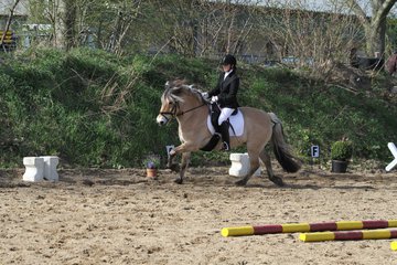 Bild 1238 - WBO-Turnier am 9.4.11
